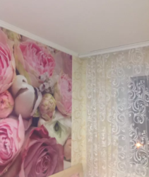 ��������� �������� �����������, �����������, ������ ���� 6