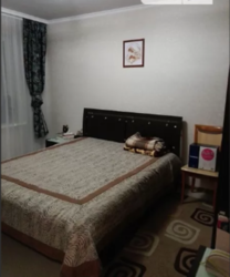 ��������� �������� ���������, �����������, �����������, ������ ���� 8