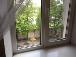 ��������� �������� �������������������� ����, 17/1, �����������, �����������, �/� ������ ���� 4