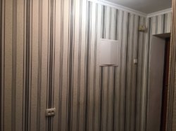 ��������� �������� �������������������� ����, 17/1, �����������, �����������, �/� ������ ���� 17