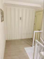 ��������� �������� �����������, �����������, �������� ���� 11