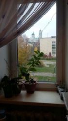 ������ �������� ���� 8