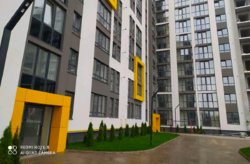 ������ �������� ���� 7