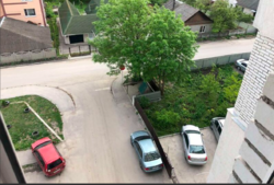 ������ �������� ���� 13