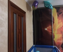 ������ 3� �������� ���� 3