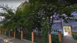 ������ �������� ���� 1