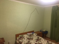 ��������� �������� ��������, �����������, �����������, ���-�������� ���� 4