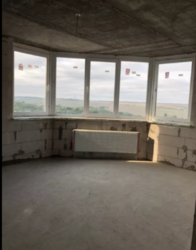 ��������� �������� �����������, �����������, �������� ���� 17