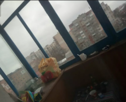 ������ �������� ���� 3