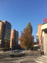 ����� �������� ���� 9