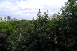 ������ �������� ���� 6