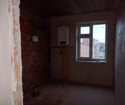 ��������� �������� ���������, �����������, �����������, ������ ���� 6