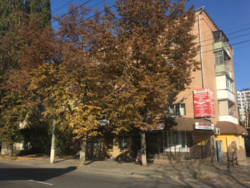 ����� �������� ���� 7