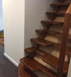 ������ 3-� ������� �������� ���� 11