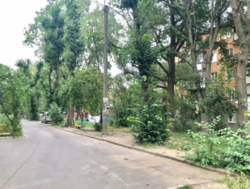 ������ 3�-�������� ���� 19