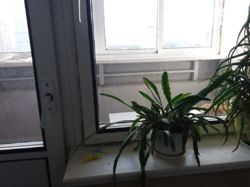 ������ �������� ���� 3