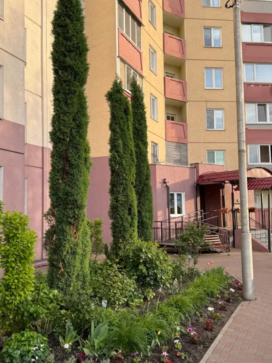 ��������� �������� ����� ���������� �����., 12, ��� ���� 1