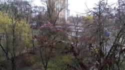 Продається квартира Київ, Голосіївський, Юлії Здановської вул. (Михайла Ломоносова), 77, м. Виставковий центр фото 19 Продається квартира Київ, Голосіївський, Юлії Здановської вул. (Михайла Ломоносова), 77, м. Виставковий центр фото 19