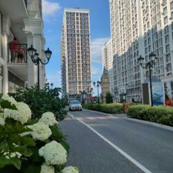 ��������� �������� ������� ����������� ���. (������ ��������), 26, ���, �����������, �. ������������ ���� 18