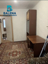 ��������� �������� ��������� ���., 37, ���, �������������, �. ������ ���� 5