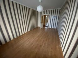 ��������� �������� ���, ����������, ����������� ���., 1� ���� 3