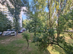 ��������� �������� ���, �������������, ���������, �������� ������������� ���., 42/43, �. ������������� ���� 13