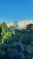 ��������� �������� �������� �������� �����., 26, ���, �����������, �. ������� ���� 12