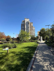 ��������� �������� ��������� ��� �����. (���������������), 11/15, ���, �����'�������, �����'����, �. ��������� ���� 9