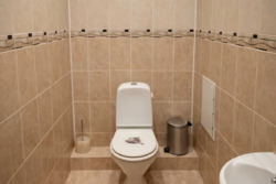 ��������� �������� ������ ����� ���., 16�, ���, ����������, ��������, �. �������� ���� 8