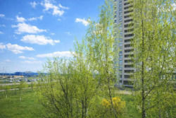 ��������� �������� ����� ���������� �����., 38, ���, ����������, ��������, �. ������� ���� 16