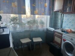 ��������� �������� ����� ����� ����� ���. (������� �������������), 28�, ���, �����������, �������, �. ������� ���� 1