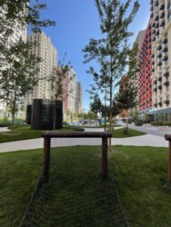 ��������� �������� ���, ����������� ���� 2