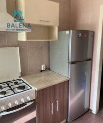 ��������� �������� ���, ����������, ��� ������� �����., 24, �. ��������� ���� 10