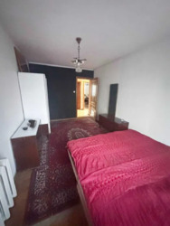 ��������� �������� ������������� �����. (��������), 95, ���, �������������, ���������, �. �������� ���� 8