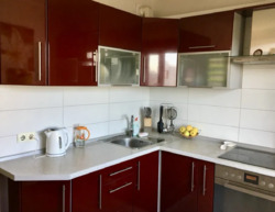 ��������� �������� �������� �������� ���. (���������� ���������), 17, ���, �������������, ������, �. ������������� ���� 1