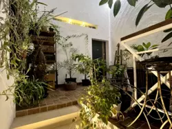 ��������� �������� ������ ��� ���., 27-29, ���, ����������, �. ����������� ����� ���� 17