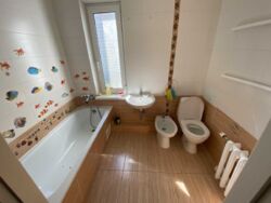 ��������� �������� ���, ����������, ����������� ���., 1� ���� 8