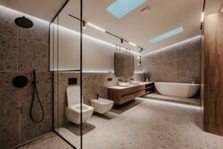 ��������� �������� �������, �������������, ��������, ���������, 2 ���� 11