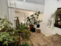 ��������� �������� ������ ��� ���., 27-29, ���, ����������, �. ����������� ����� ���� 19