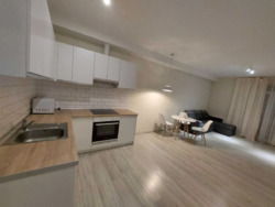 ��������� �������� ������� ����������� ���. (������ ��������), 24, ���, �����������, �. ������������ ���� 1