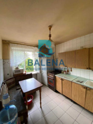 ��������� �������� ���, �����������, ��쳿���, ���������� ����, 17, �. ��쳿����� ���� 12