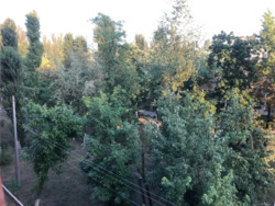 ��������� �������� �����-�������� ���., 16, ���, �����������, ˳�����, �. ˳���� ���� 9