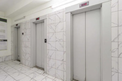 ��������� �������� ����� �����., 80�/73, ���, �����������, �. ��쳿����� ���� 17