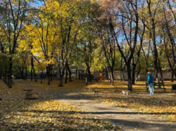 Продається квартира Київ, Шевченківський, Ґарета Джонса вул. (Сім'ї Хохлових), 6Б, м. Лук'янівська фото 14 Продається квартира Київ, Шевченківський, Ґарета Джонса вул. (Сім'ї Хохлових), 6Б, м. Лук'янівська фото 14