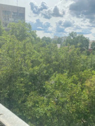 ��������� �������� ������� ��������� ���., 11, ���, �����'�������, �������������� ��������, �. ��������� ���� 17