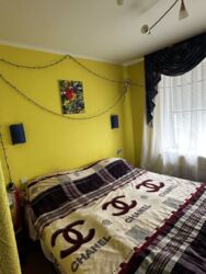 ��������� �������� �������������� ���., 31, ���, �����������, �. ��쳿����� ���� 8