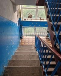 ��������� �������� ���, �����'�������, ³�������, 36 ���� 6