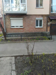 ��������� �������� ���, ����������, ��� ������� �����., 15, �. ��������� ���� 17