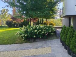 ��������� �������� ³�������� ���., 8, ���, ����������, ����������� ���� 17