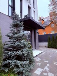 Продається квартира Осіння вул., 28, Київ, Святошинський, Академмістечко, м. Академмістечко фото 19 Продається квартира Осіння вул., 28, Київ, Святошинський, Академмістечко, м. Академмістечко фото 19